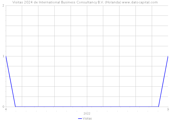 Visitas 2024 de International Business Consultancy B.V. (Holanda) 