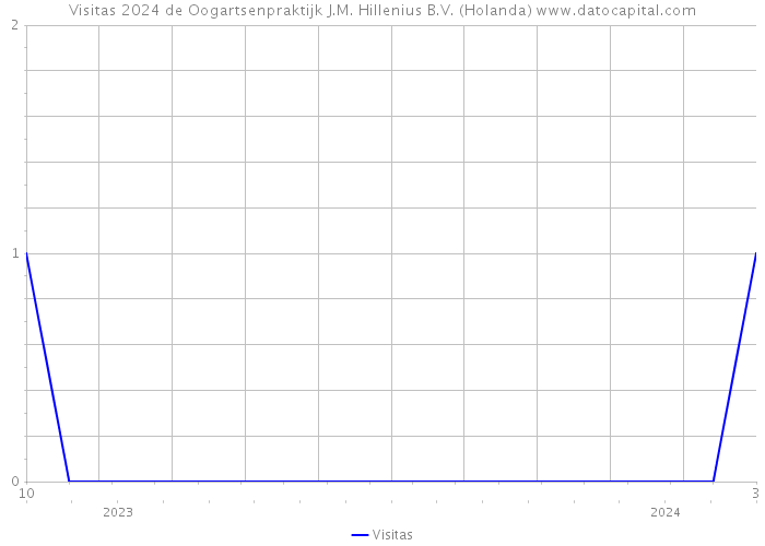 Visitas 2024 de Oogartsenpraktijk J.M. Hillenius B.V. (Holanda) 