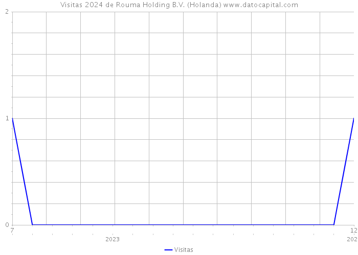 Visitas 2024 de Rouma Holding B.V. (Holanda) 