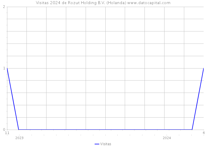 Visitas 2024 de Rozut Holding B.V. (Holanda) 