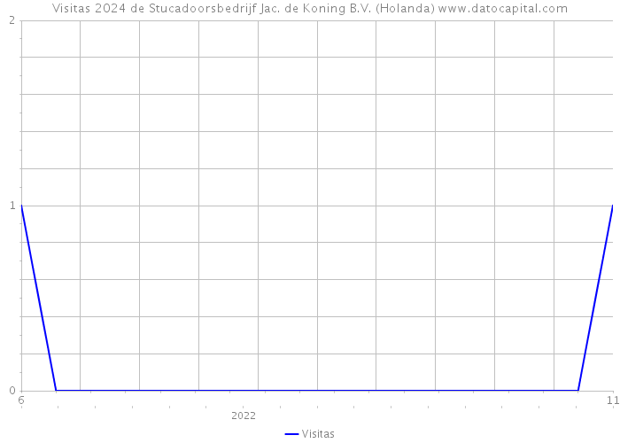 Visitas 2024 de Stucadoorsbedrijf Jac. de Koning B.V. (Holanda) 