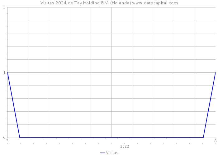 Visitas 2024 de Tay Holding B.V. (Holanda) 