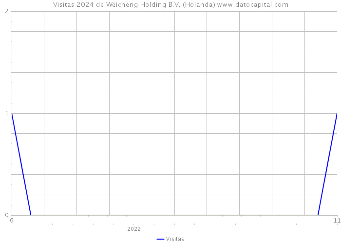 Visitas 2024 de Weicheng Holding B.V. (Holanda) 