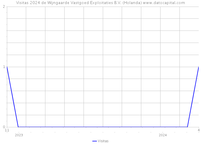 Visitas 2024 de Wijngaarde Vastgoed Exploitaties B.V. (Holanda) 