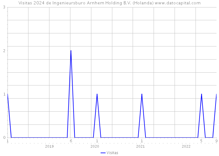 Visitas 2024 de Ingenieursburo Arnhem Holding B.V. (Holanda) 