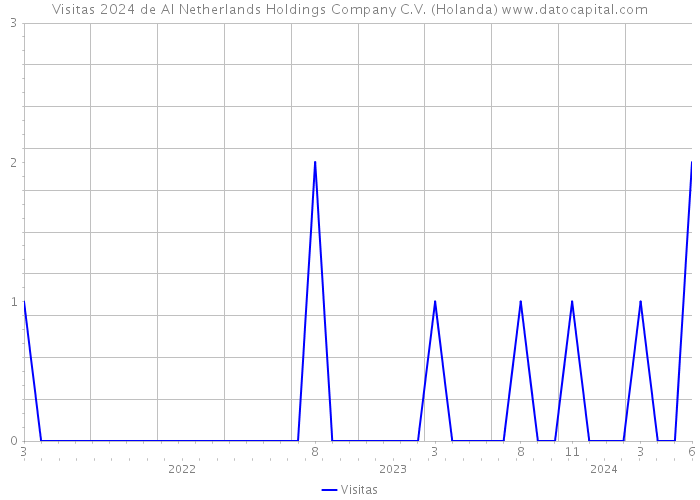Visitas 2024 de AI Netherlands Holdings Company C.V. (Holanda) 