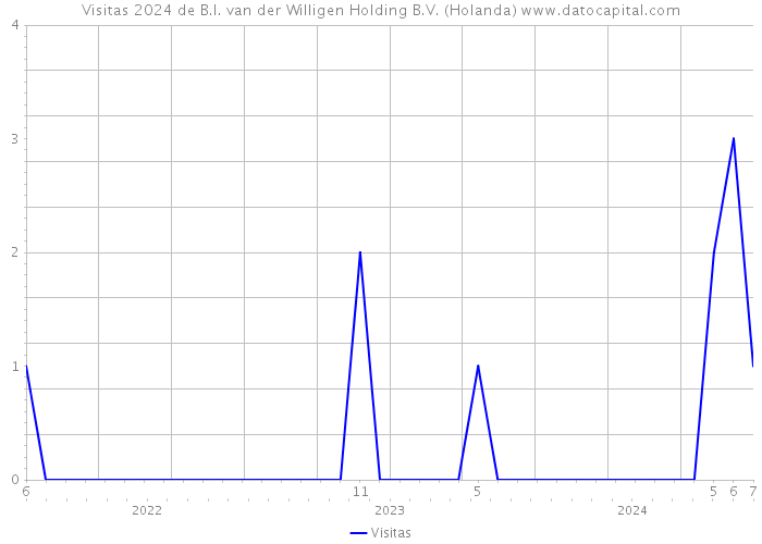 Visitas 2024 de B.I. van der Willigen Holding B.V. (Holanda) 