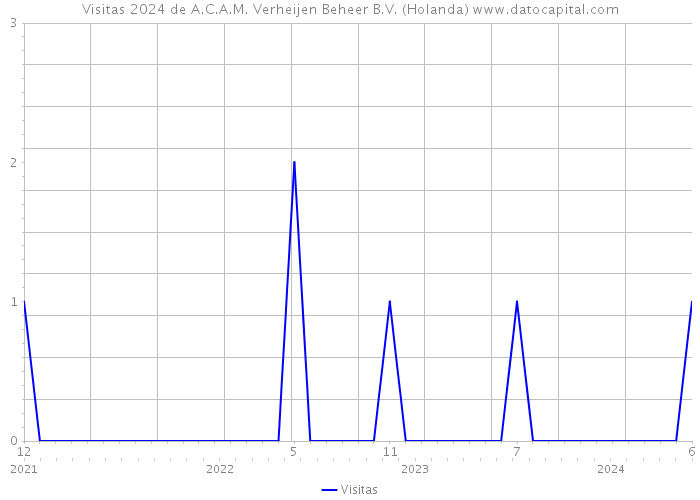 Visitas 2024 de A.C.A.M. Verheijen Beheer B.V. (Holanda) 