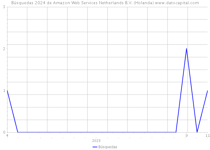 Búsquedas 2024 de Amazon Web Services Netherlands B.V. (Holanda) 