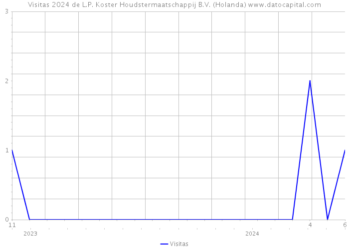 Visitas 2024 de L.P. Koster Houdstermaatschappij B.V. (Holanda) 