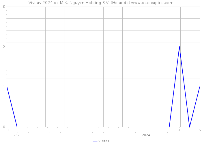 Visitas 2024 de M.K. Nguyen Holding B.V. (Holanda) 