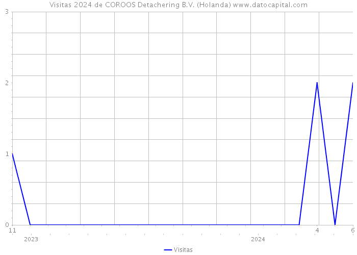 Visitas 2024 de COROOS Detachering B.V. (Holanda) 