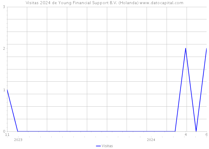 Visitas 2024 de Young Financial Support B.V. (Holanda) 