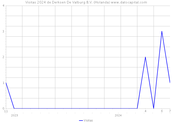 Visitas 2024 de Derksen De Valburg B.V. (Holanda) 