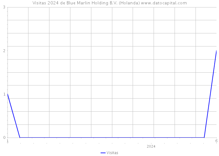 Visitas 2024 de Blue Marlin Holding B.V. (Holanda) 