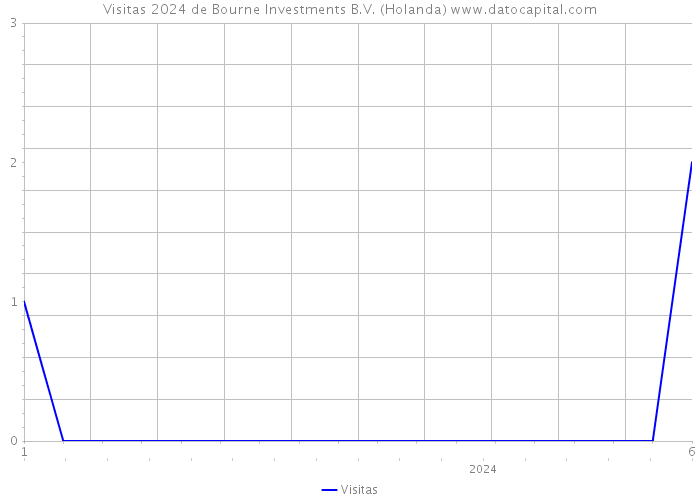 Visitas 2024 de Bourne Investments B.V. (Holanda) 