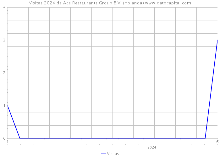 Visitas 2024 de Ace Restaurants Group B.V. (Holanda) 