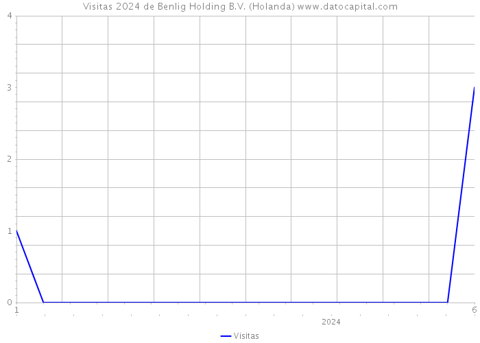 Visitas 2024 de Benlig Holding B.V. (Holanda) 