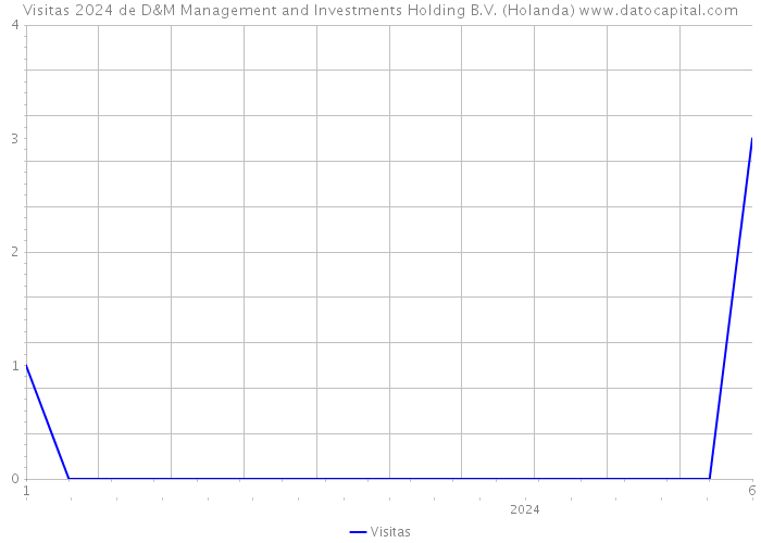 Visitas 2024 de D&M Management and Investments Holding B.V. (Holanda) 