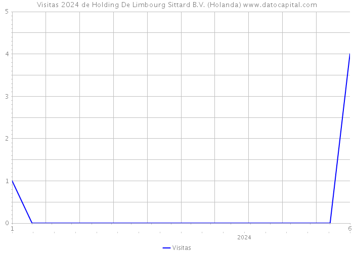 Visitas 2024 de Holding De Limbourg Sittard B.V. (Holanda) 