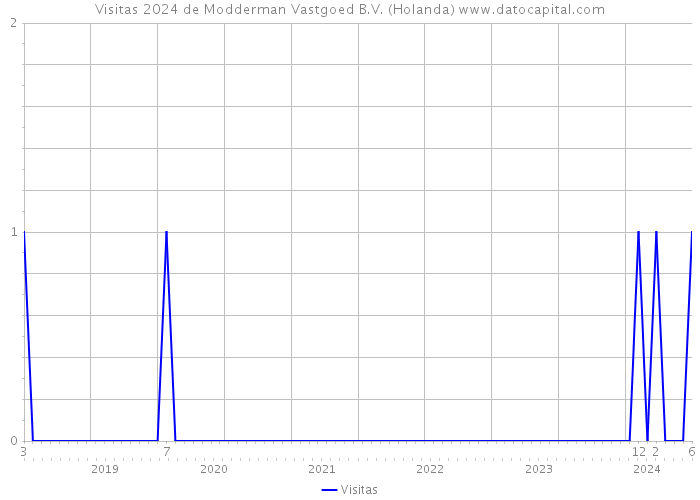 Visitas 2024 de Modderman Vastgoed B.V. (Holanda) 