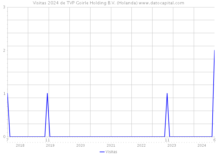 Visitas 2024 de TVP Goirle Holding B.V. (Holanda) 