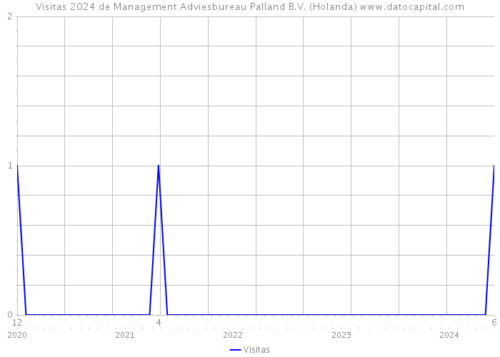 Visitas 2024 de Management Adviesbureau Palland B.V. (Holanda) 