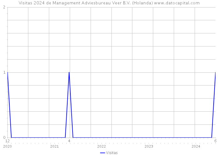 Visitas 2024 de Management Adviesbureau Veer B.V. (Holanda) 