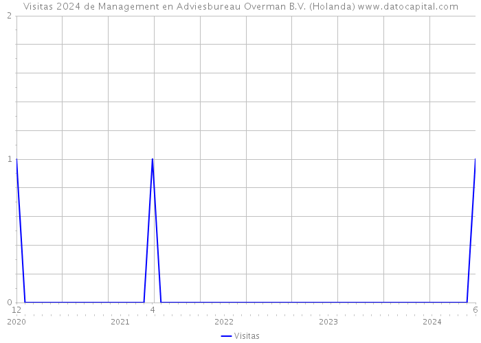 Visitas 2024 de Management en Adviesbureau Overman B.V. (Holanda) 
