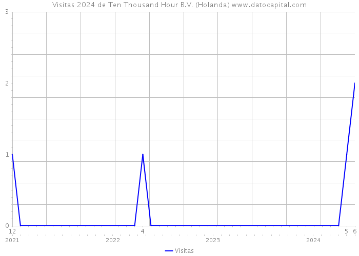 Visitas 2024 de Ten Thousand Hour B.V. (Holanda) 