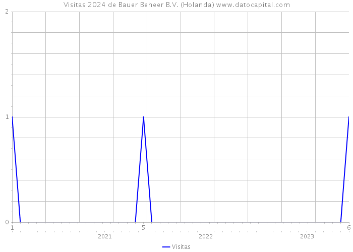 Visitas 2024 de Bauer Beheer B.V. (Holanda) 