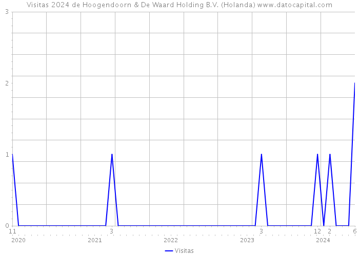 Visitas 2024 de Hoogendoorn & De Waard Holding B.V. (Holanda) 