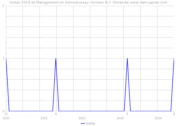 Visitas 2024 de Management en Adviesbureau Vermeer B.V. (Holanda) 