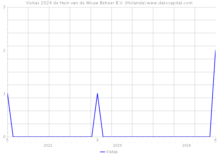 Visitas 2024 de Hein van de Wouw Beheer B.V. (Holanda) 