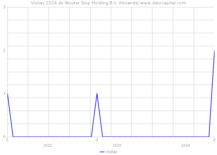 Visitas 2024 de Wouter Slop Holding B.V. (Holanda) 