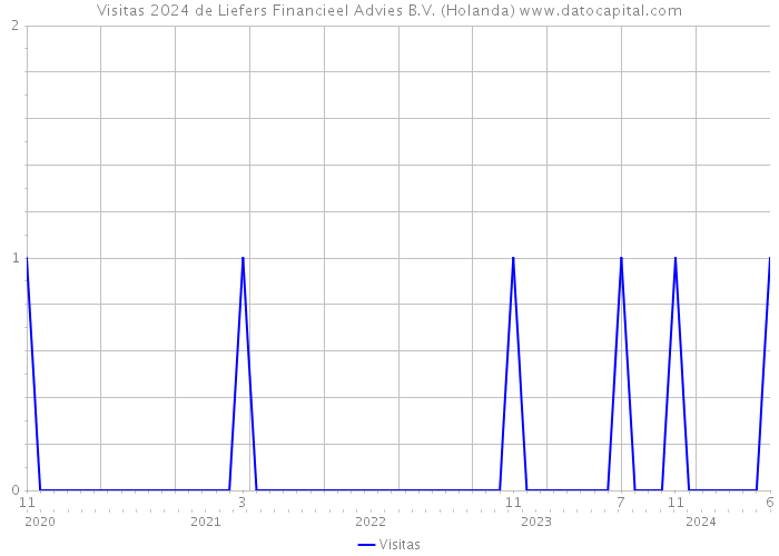 Visitas 2024 de Liefers Financieel Advies B.V. (Holanda) 