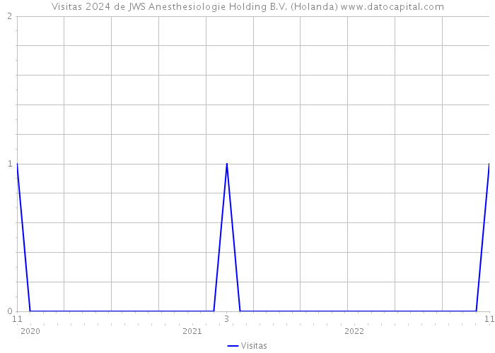 Visitas 2024 de JWS Anesthesiologie Holding B.V. (Holanda) 