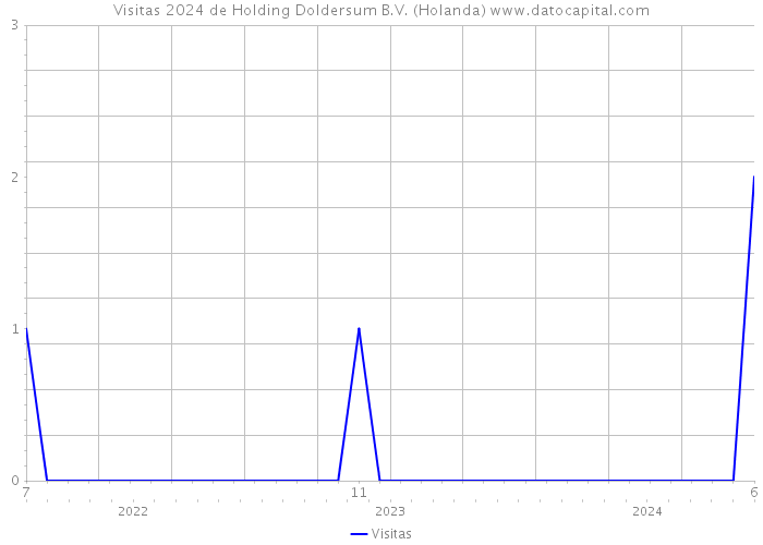 Visitas 2024 de Holding Doldersum B.V. (Holanda) 