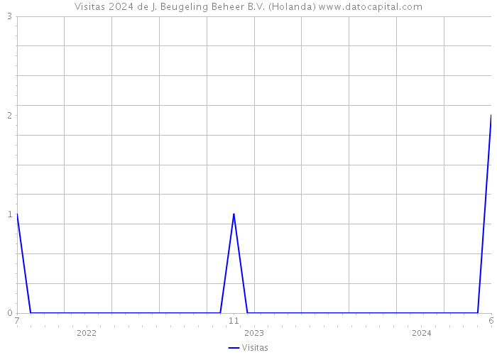 Visitas 2024 de J. Beugeling Beheer B.V. (Holanda) 
