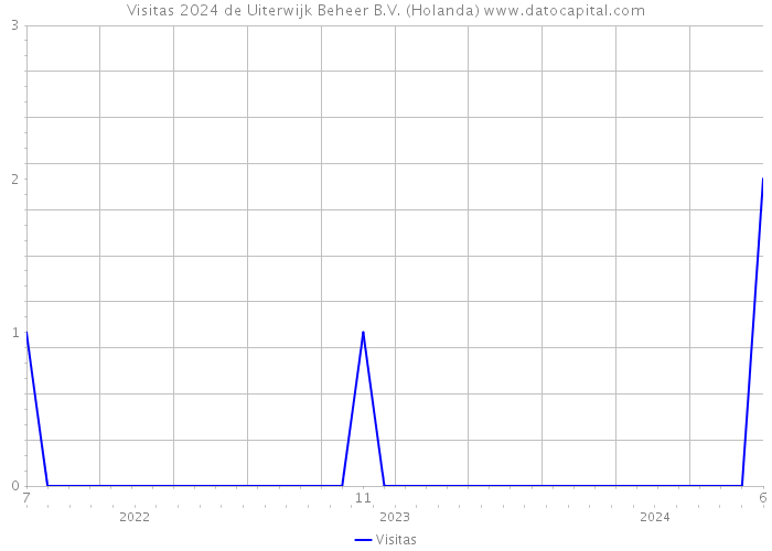 Visitas 2024 de Uiterwijk Beheer B.V. (Holanda) 