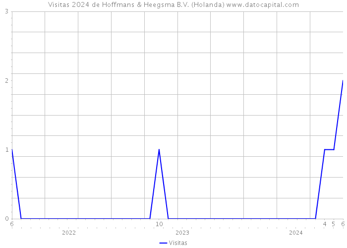 Visitas 2024 de Hoffmans & Heegsma B.V. (Holanda) 