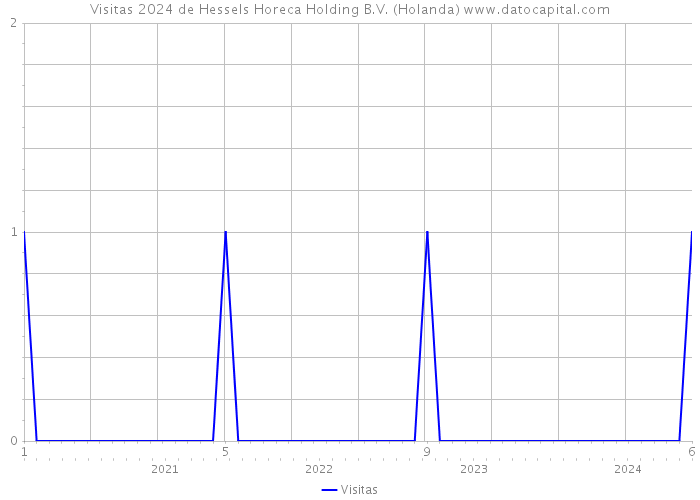 Visitas 2024 de Hessels Horeca Holding B.V. (Holanda) 