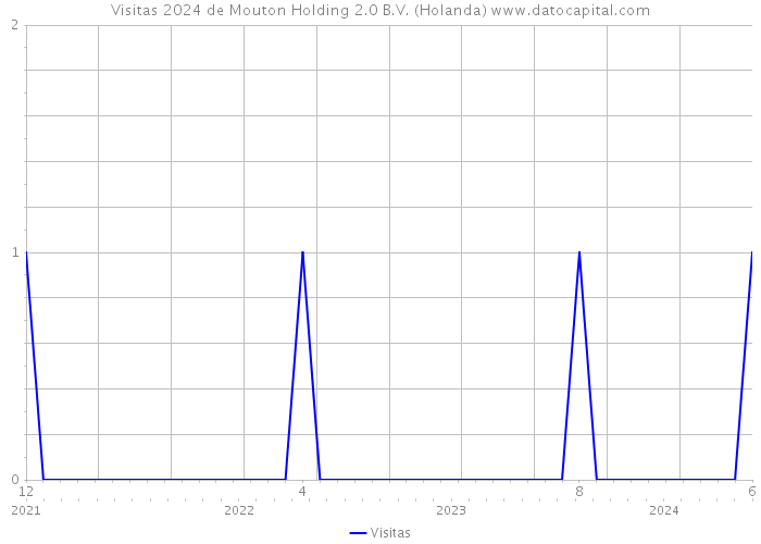 Visitas 2024 de Mouton Holding 2.0 B.V. (Holanda) 