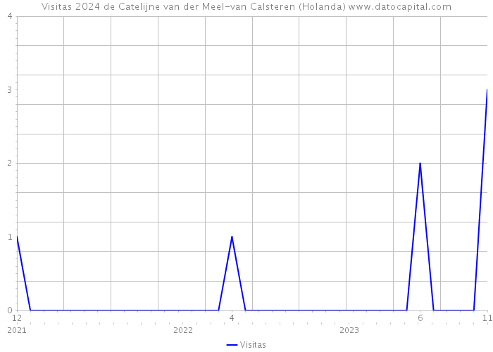 Visitas 2024 de Catelijne van der Meel-van Calsteren (Holanda) 