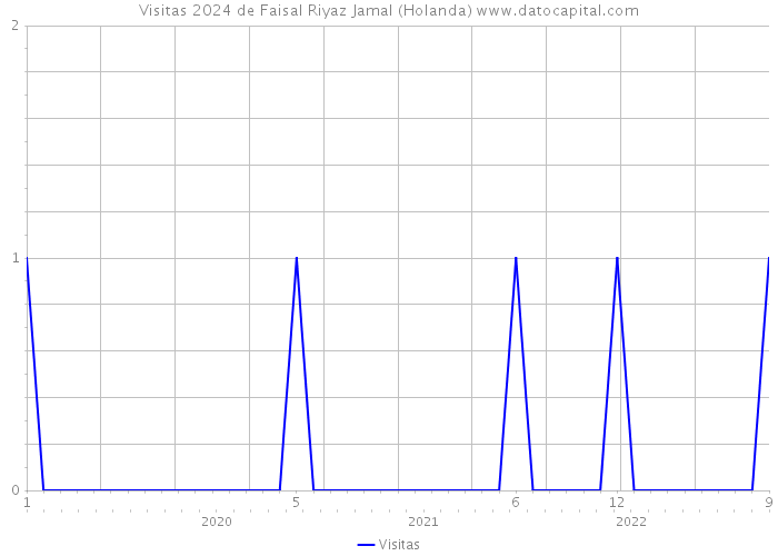 Visitas 2024 de Faisal Riyaz Jamal (Holanda) 