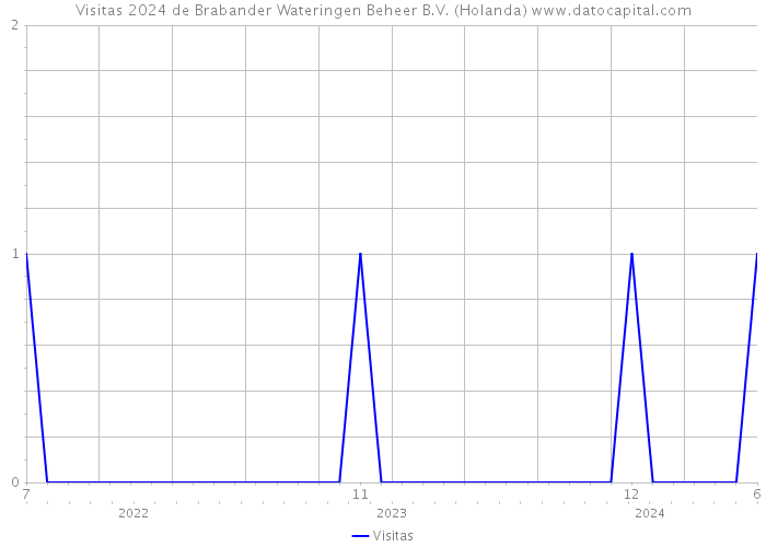 Visitas 2024 de Brabander Wateringen Beheer B.V. (Holanda) 