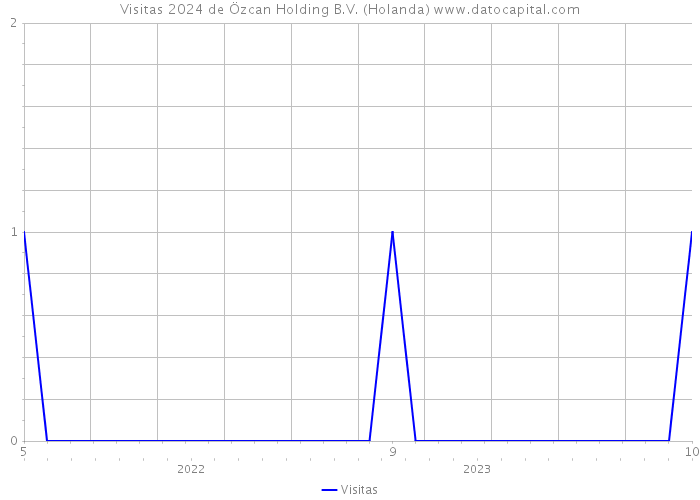 Visitas 2024 de Özcan Holding B.V. (Holanda) 