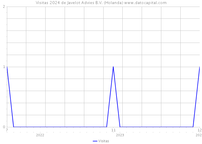 Visitas 2024 de Javelot Advies B.V. (Holanda) 