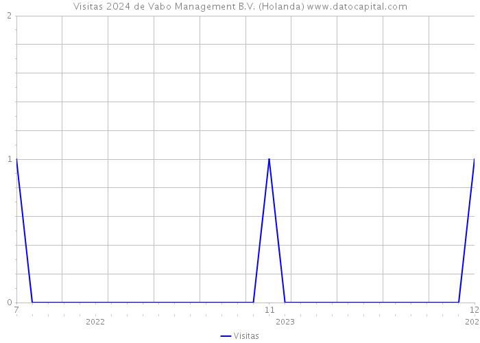 Visitas 2024 de Vabo Management B.V. (Holanda) 