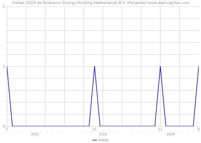 Visitas 2024 de Endeavor Energy Holding Netherlands B.V. (Holanda) 